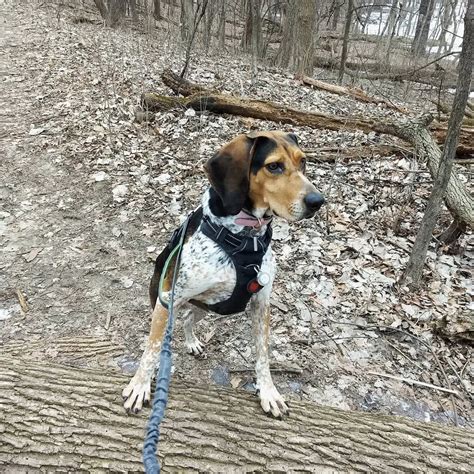 Two year gotcha day! | Scrolller