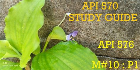 Image result for API 576 Latest Edition