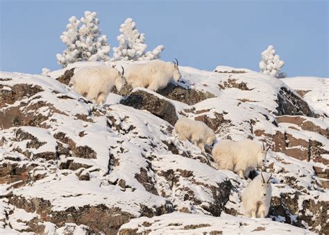 Environment Photography Examples 的图像结果