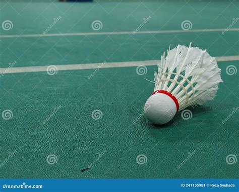 Badminton Racket and Shuttle 的图像结果