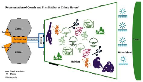 Image result for Java HelloWorld Example