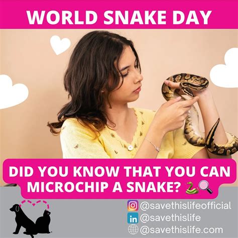 Save This Life - Microchip & Pet Recovery System (@savethislifeofficial ...