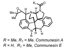 AB Research Group