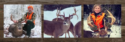 Maine Deer Hunting Doe Permits at Byron Wells blog