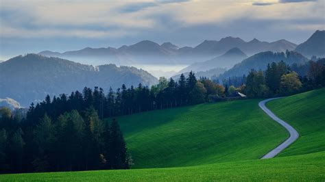 Forest And Mountain With Green Grass Field And Road In Background Of ...