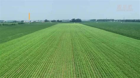 农业现代化 的图像结果