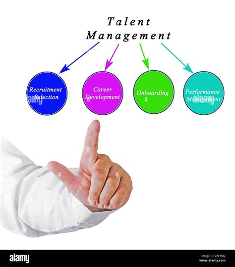 Talent Management 的图像结果