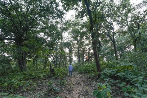 Why we need to factor ecosystem services into economic development planning