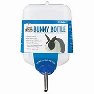 Image result for Rabbit Water Bottle
