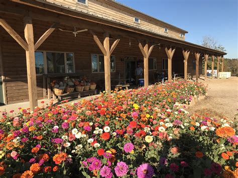 Bush N Vine in York, South Carolina - Sharing Horizons