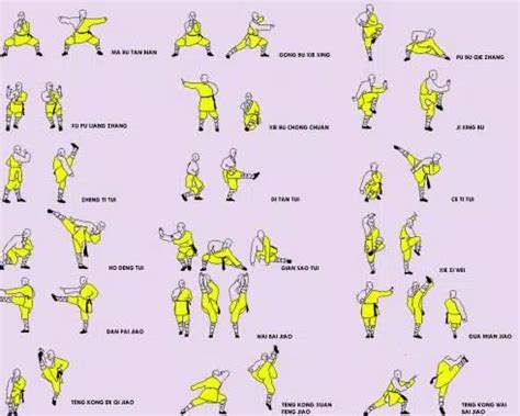 Basic Kung Fu Techniques 的图像结果