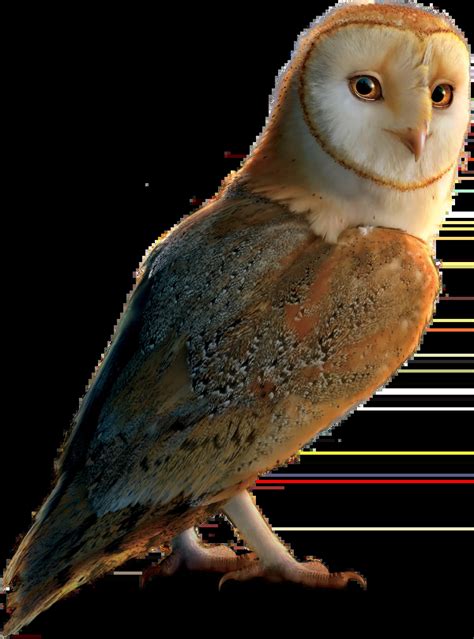 Category:Characters from Legend of the Guardians: The Owls of Ga'Hoole ...