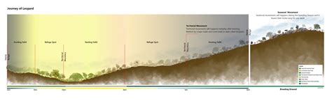 INTERTWINED HABITAT | CEPT - Portfolio