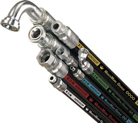 Service Loop 的图像结果