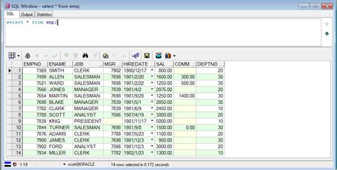 Execute PL SQL Code in SQL Developer 的图像结果