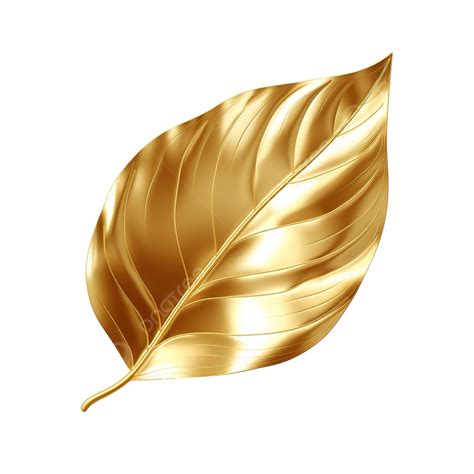 Download premium png of golden fittonia leaf design element by nunny ...