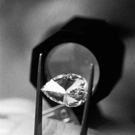 Rosy Blue Group clarifies stand on loan default, terms allegations as ...