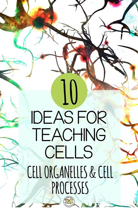 Tutorials for Cells 的图像结果
