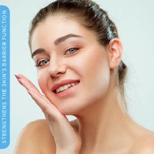 Elovera AD Moisturising Lotion 100ml | For Dry Skin | with Ceramides ...