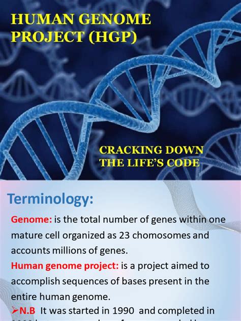 Human Genome Project 的图像结果