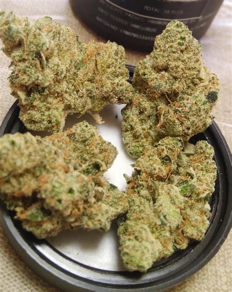 Image result for Alien OG Kush