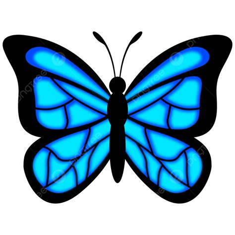 Blue And Black Butterflies