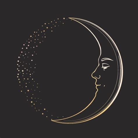 Moon Vector 的图像结果