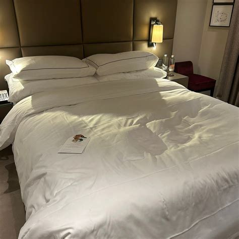 HÔTEL LES ARMURES (Geneva) - 2026 Hotel Reviews, Photos, Rate ...