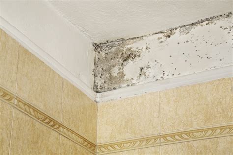 Image result for Remove Mold From Textured Ceiling