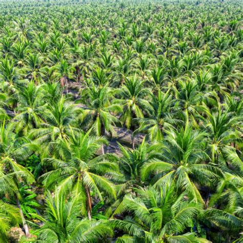 Arthi Magnetic Salt Water Conditioner innovative Water Solutions