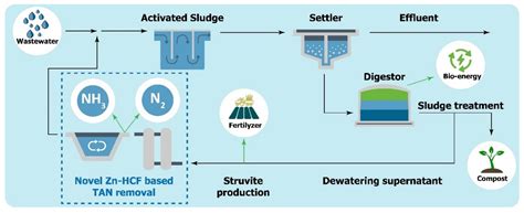 Sustainable Removal of Ammonia from the Anaerobic Digester Supernatant ...