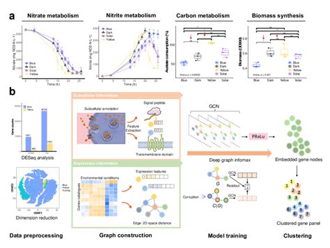 Deep Learning Workflow 的图像结果
