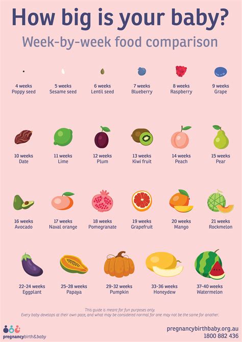 10 Week Fetus Size Fruit