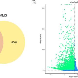 Transcriptome 的图像结果