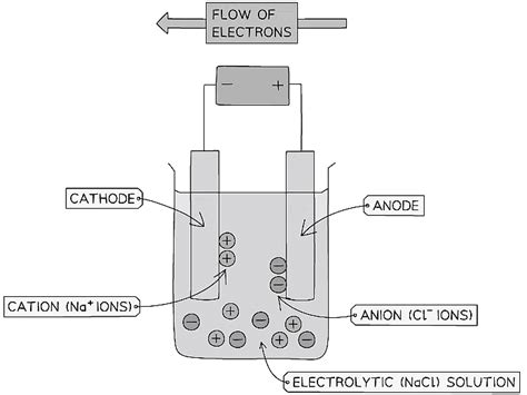 The Process of Electrolysis - Notes | Study Chemistry for Grade 10 ...