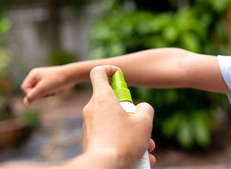 15 Most Effective Natural Insect Repellents and its Benefits