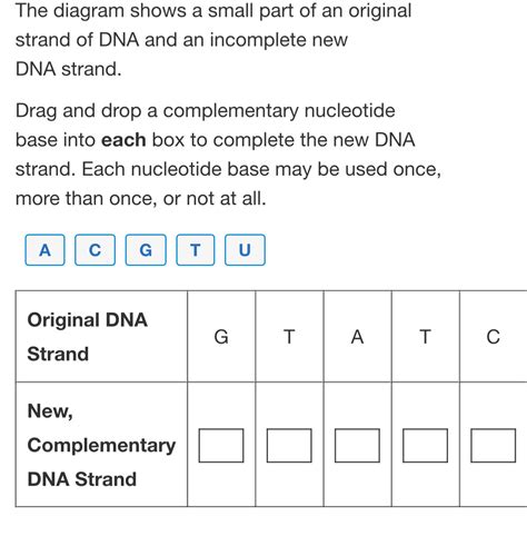 Solved: The diagram shows a small part of an original strand of DNA and ...