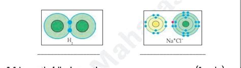 Look at the diagrams and identify the type of chemical bond present in ...