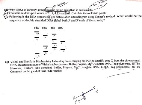 Sem2-1 | 2018-19 Sem2 | 2018-19
