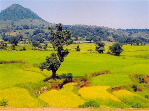 5 Reasons to Visit Araku Valley in South India | India.com