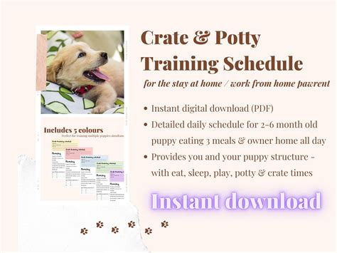 Puppy Feeding Schedule For Potty Training at Carmen Pitt blog