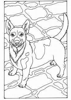 malvorlage hund russel malvorlage russel kostenlose ausmalbilder zum malvorlage hund russel malvorlage russel kostenlose ausmalbilder zum