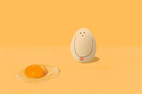 Image result for UI Design Sample HTML