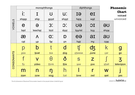 国际音标音素图表--打印版本_英语语音_双语文档_酷兔英语