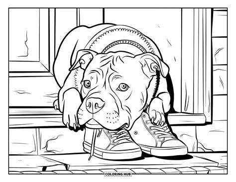 100+ Pitbull Coloring Pages for Kids & Adults (Free Printable PDFs)