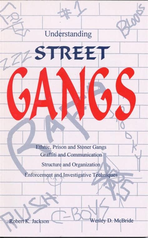Buy Understanding Street Gangs Book Online at Low Prices in India ...