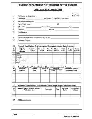 JOB APPLICATION FORM - Energy Department - Punjab - Fill and Sign ...