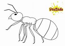 malvorlagen insekten gratis ausmalbilder kostenlos insekten ausmalbilder malvorlagen insekten gratis ausmalbilder kostenlos insekten ausmalbilder