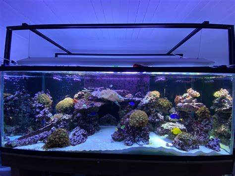 200 gallon aquarium NOT PARTING salt water tank sump complete for Sale in Miami, FL - OfferUp