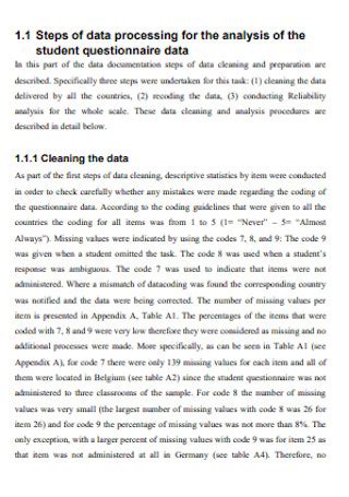 Questionnaire Report Example 的图像结果